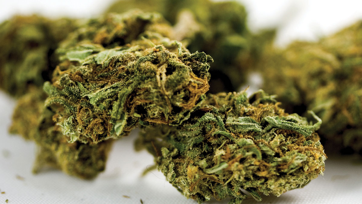 Featured image for “How Does Marijuana Use Impact Child Custody?”